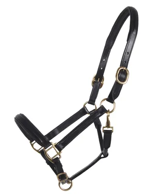Produktbild von Lederhalfter Fein Schwarz Cob