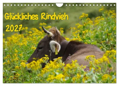 Produktbild von Glückliches Rindvieh 2027 (Wandkalender 2027 DIN A4 quer), CALVENDO Monatskalender