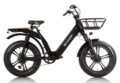 Produktbild von Sharp BK-UM03-EB, Lithium-Ion (Li-Ion), 12,6 Ah, 80 km, 48 V, 6 h, 604,8 Wh