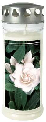 Produktbild von Gedenkkerze Gardenia 75x210mm
