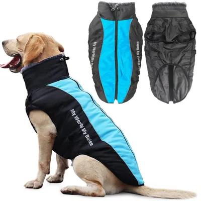 Imagen del producto de Chaleco cálido para perros con detalles reflectantes