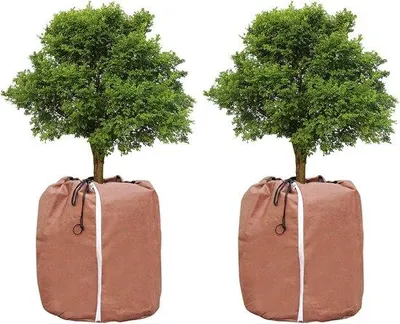 Image de Bâche de protection en polyester pour plantes, protection hivernale, 60 x 90 cm, 70 g/m², lot de 2