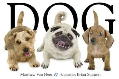 Produktbild von Dog