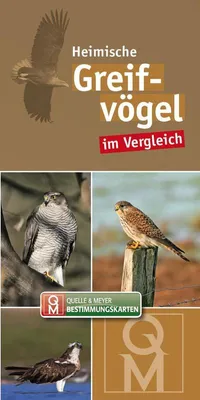 Produktbild von Bestimungskarten Heimische Greifvögel