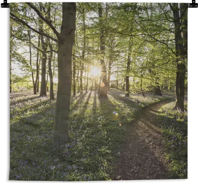 Produktbild von MuchoWow® Wandteppich Wandbehang Wald - Baum - Sonne 90x90 cm Tapisserie Dekoration Wandtuch - Wandaufhänger