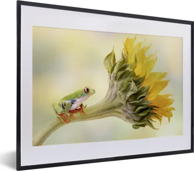 Produktbild von MuchoWow® MuchoWow® Gerahmtes Poster Sonnenblume - Tier - Frosch 40x30 cm - Poster mit zchwarzem Bilderrahmen - Bilderrahmen - Poster im Rahmen
