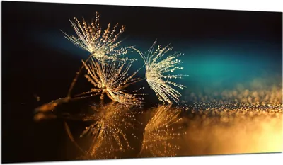 Produktbild von Herdabdeckplatte Glaskeramikkochfeld-Abdeckung Spritzschutz Glas 90x52 Blumen
