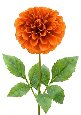 Productafbeelding van Clayre & Eef Kunstbloem Oranje, kunststof