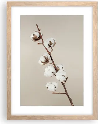 Produktbild von Gerahmtes Poster - Rahmen in heller Eiche - Baumwolle Zweig Boho - 30x40 cm - Wand Bild - Wanddeko - Wandbilder - Kunstposter - Wandposter - Bilderrahmen - Bilder - Kunstdruck - P2NPA30x40-4730