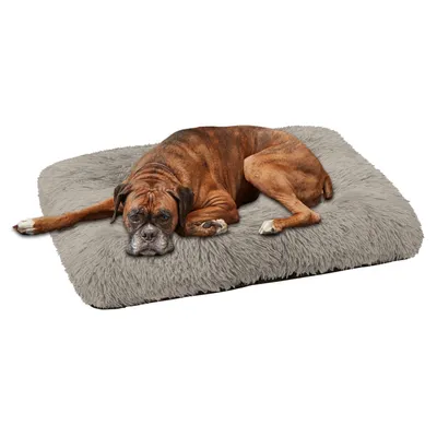 A boxer dog is lying on a fluffy gray dog bed.