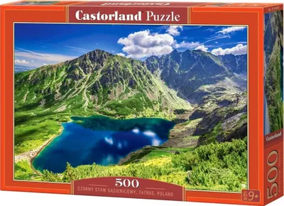 Produktbild von Castorland B-54053, 500 Stück(e), Stadt, 8 Jahr(e)
