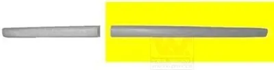 Immagine prodotto di VAN WEZEL modanatura/ protezione, porta anteriore destra per VW Polo IV