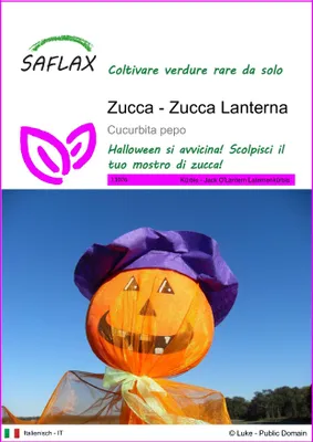 Immagine prodotto di SAFLAX  - Zucca - Zucca Lanterna - 10 semi - Cucurbita