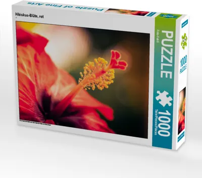 Produktbild von CALVENDO Puzzle Hibiskus-Blüte, rot | 1000 Teile Lege-Größe 64x48cm Foto-Puzzle für glückliche Stunden