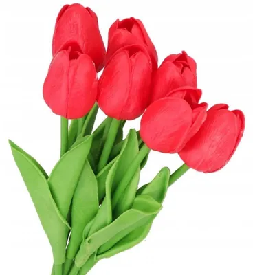 Produktbild von TULPENBÜSSEL: EINEN BÜSSEL TULPEN. Gummibearbeitete Tulpen, aus Gummi, Silikon. Wie lebendig