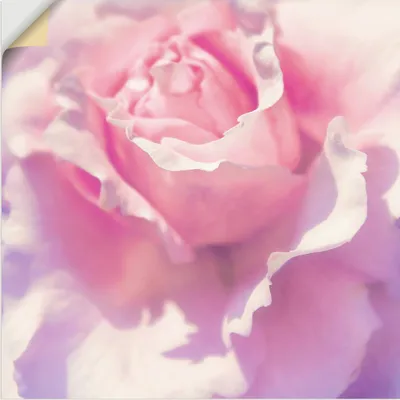 Produktbild von ARTland Wandbild, selbstklebend Rosa Größe: 30x30 cm