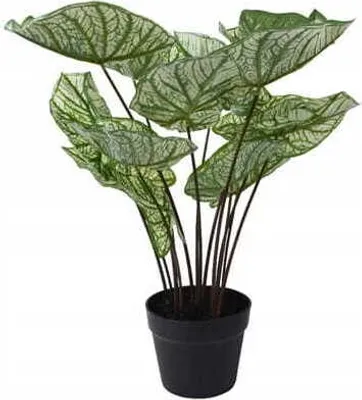 Immagine prodotto di Pianta verde decorativa artificiale in vaso 50x50cm