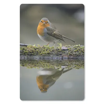 Produktbild von MuchoWow® Mauspad Mousepad Rotkehlchen - Wasser - Moos 18x27 cm - Mousepads - Maus Mat - Pad - Mausunterlage