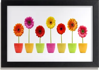 Produktbild von Bild 30x20 MDF-Rahmen Wandkunst Blumen Pflanzen Natur