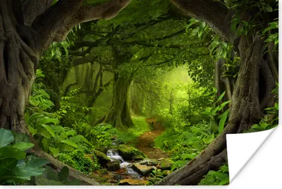 Produktbild von MuchoWow® Poster Dschungel - Grün - Natur - Tropisch - Pflanzen 60x40 cm - Schlafzimmerdekoration