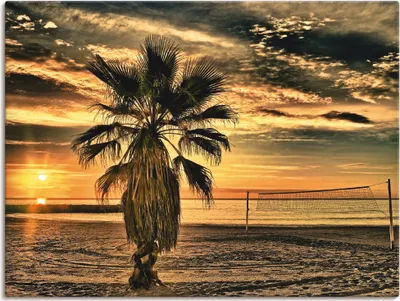 Produktbild von ARTland Leinwandbild Palme bei Sonnenuntergang Größe: 60x45 cm