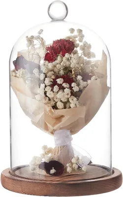 Productafbeelding van 12 cm grote glazen bel met houten sokkel - Set van 18 - Rustieke glazen bel - Heldere glazen bel voor planten