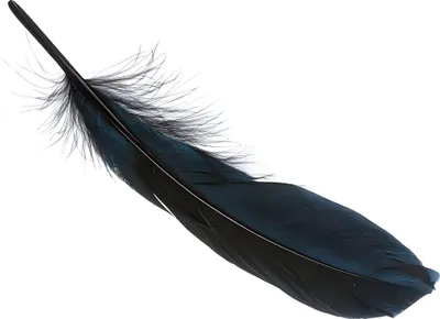 Produktbild von KNORR PRANDELL 216620612 Gänsefedern ca. 16 - 21 cm schwarz