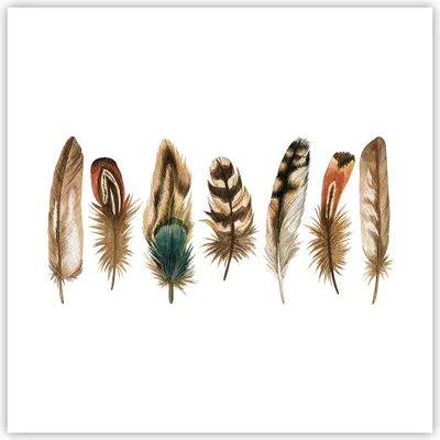 Produktbild von Poster - Poster ohne Rahmen - Weiß Hintergrund Federn - 40x40 cm - Wand Bild - Wanddeko - Wandbilder - Kunstposter - Wandposter - Bilder - Kunstdruck - Wanddekoration - Wandbild - P2XAC40x40-4419