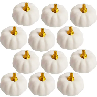 Image de Citrouilles artificielles - Lot de 12 pièces en mousse - Décoration de table pour l'automne et les fêtes - Blanc - 12 pièces
