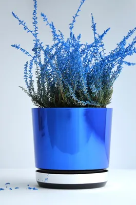 Produktbild von Kerd Blumentopf DEKOR 16 DUO 16cm Blau Glänzend mit Spiegel-Untersetzer