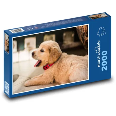 Zdjęcie produktu dla martinpuzzle - Puzzle 2000 - Mały skarb, uroczy szczeniak retriefera