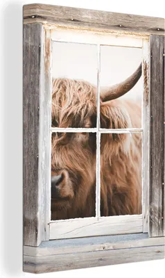 Produktbild von OneMillionCanvasses® - Leinwandbilder - 90x140 cm, Schottisches Hochlandrind - Ansicht - Fenster, - Geöffnetes Fenster - Fensterblick Hochland Rind - Tier Wanddekoration - Hochland Rind - Kuh - Gemälde auf Holzrahmen - Wandschmucke - Schlafzimmer