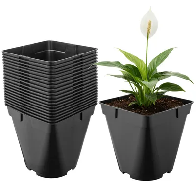 Image de Garronda, lot de 20 pots en plastique carrés aux angles arrondis avec trous de drainage pour le jardin (noirs, 18 x 18 x 18 cm (4 L)) GD-KW-SR