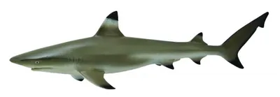 Produktbild von Collecta 88726 Schwarzspitzen Riffhai 11 cm Wassertiere