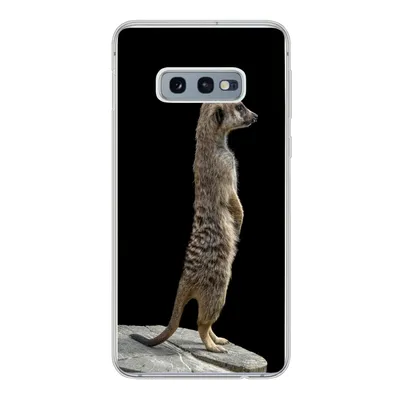 Produktbild von MuchoWow® Handyhülle Schutzhülle Hülle für Samsung Galaxy S10e Erdmännchen - Wilde Tiere - Schwarz Silikon Softcase Handy Hülle - Handy