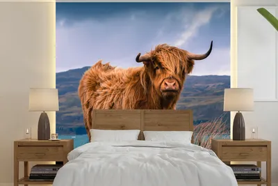Produktbild von MuchoWow® Fototapete für Wohnzimmer oder Schlafzimmer Wandtapete Vinyl Motivtapete Schottische Highlander - Himmel - Natur - 240x240 cm - Schlafzimmer-Tapete