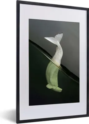 Produktbild von MuchoWow® MuchoWow® Gerahmtes Poster Delfin - Wasser - Weiß 40x60 cm - Poster mit zchwarzem Bilderrahmen - Poster in Rahmen