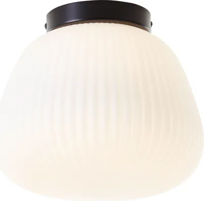 Produktbild von BRILLIANT Deckenleuchte 25cm Kaizen schwarz IP20 E27  dimmbar Geeignet für Normallampe