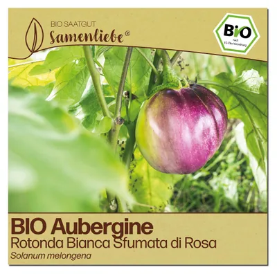 Produktbild von Samenliebe  Aubergine Samen | Rotonda Bianca Sfumata di Rosa - weiß, rosa & mini, rund - samenfestes  Saatgut