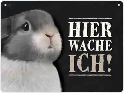 Produktbild von Hier wache ich! Metallschild XL mit Hase Motiv Schild Blechschild Emailleschild
