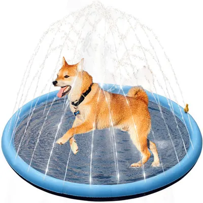 Image de Piscine pliable pour chiens, diamètre de 99 cm, surface antidérapante, idéale pour le jardin et l'été