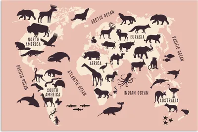 Produktbild von MuchoWow® Poster Weltkarte - Rosa - Tiere 60x40 cm - Schlafzimmerdekoration