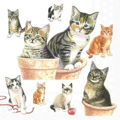 Produktbild von Servietten 33x33 cm - Cute kittens