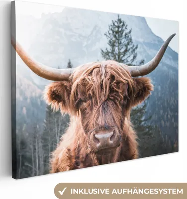 Obrázek produktu pro OneMillionCanvasses® - Plátno - Skotský horal - Kráva - Hora, nástěnná malba, nástěnné dekorace obrazy obývací pokoj, 80x60cm