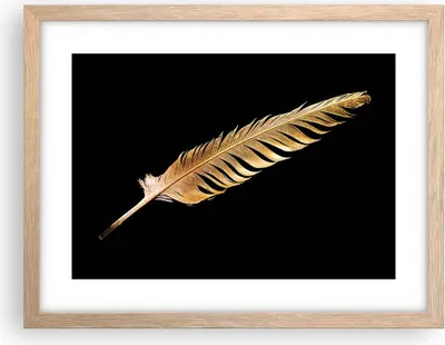 Produktbild von Gerahmtes Poster - Rahmen in heller Eiche - Golden Feder Schwarz - 40x30 cm - Wand Bild - Wanddeko - Wandbilder - Kunstposter - Wandposter - Bilderrahmen - Bilder - Kunstdruck - P2NAA40x30-4887