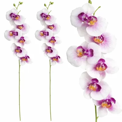 Produktbild von Künstliche Orchidee Deko Zweig 2er Set Kunstblumen Orchideen Zweig 75 cm Weiß Violett