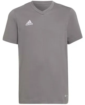 Productafbeelding van T-shirt Adidas Entrada 22 "Team Grey Four" voor Kinderen
