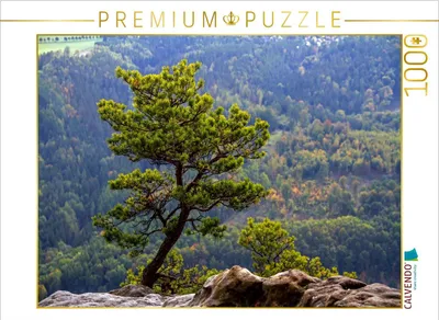 Produktbild von CALVENDO Puzzle Krüppelkiefer auf dem Lilienstein | 1000 Teile Lege-Größe 64x48cm Foto-Puzzle für glückliche Stunden