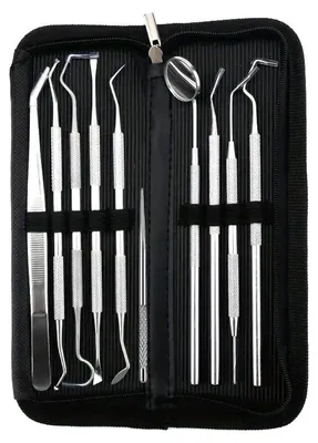 Obrázek produktu pro Nástroj pro péči o zuby, nerezová ocel, ergonomický design, 10 kusů