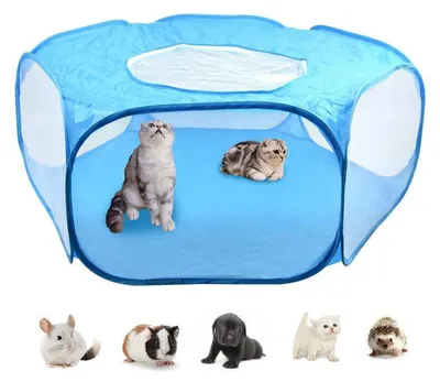 Immagine prodotto di Gabbia pieghevole per piccoli animali, traspirante e trasparente, con copertura, colore blu, dimensioni 83,2 x 53 x 37,7 cm